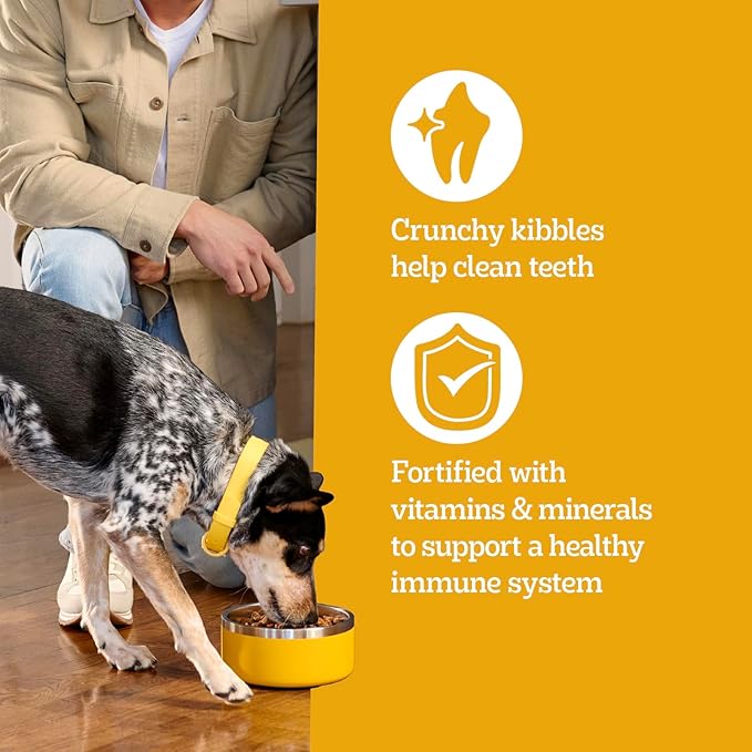 Pedigree Dry Dog Food for Adult Dogs, High Protein, Beef and Lamb Flavor, 18 lb. Bag