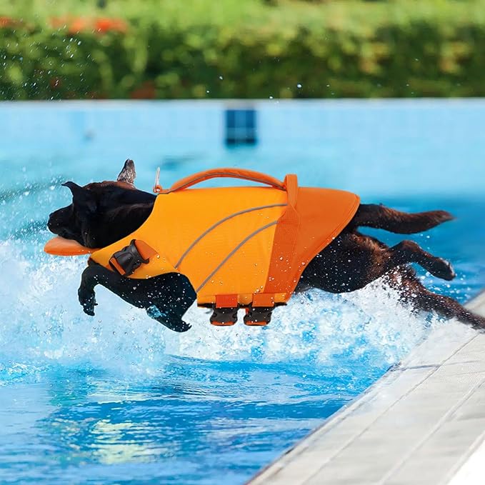 Queenmore Dogs Life Jackets, Dog Life Vest for Swimming Medium, Ripstop Pet Lifesaver with Rescue Handle, Chin Float Dog Life Jacket, Cat Pool Float (Orange,M)