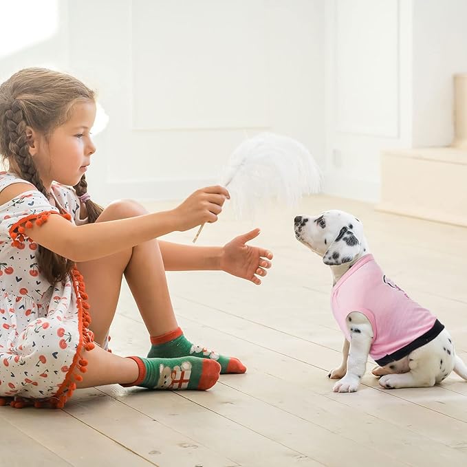 Reginary 8 Pieces Dog Shirts Girl Small Dog Clothes for Chihuahuas Yorkies Female Puppy Shirts Printed Pet Outfit Cute Breathable Soft Valentine's Day Doggie Cat Lovers Gift(Vivid Pattern,Size M)