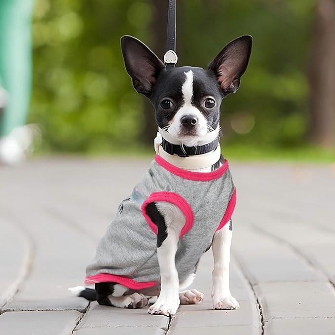 4 Pack Dog Shirt for Small Dogs Spring Summer Printed Puppy Clothes Cute Pet T Shirts Dog Clothes for Small Dogs Cats Girl (Grey+Pink+Purple,Black, Medium)
