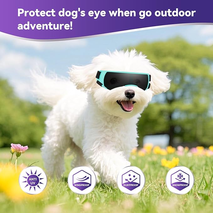 ENJOYING Dog Sunglasses Small Breed, Anti-UV Puppy Goggles for Small Dogs, Windproof Outdoor Dog Eye Protection for Driving Biking, Adjustable Head Straps, Cute Blue