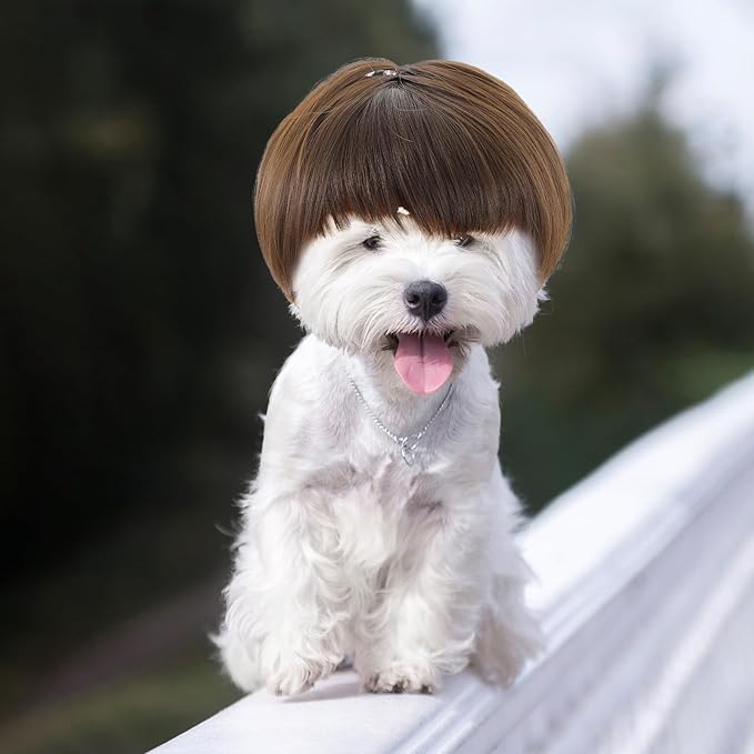 Funny Dog Cat Cosplay Wigs for Dogs, Dog Wigs for Small Dogs Adjustable Cat Wig Trimmable Funny Dog-Wig Pet Wig for Halloween, Parties, Christmas, Festivals