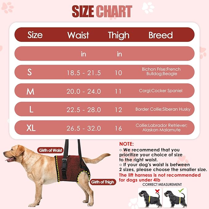 SlowTon Dog Lift Harness - Adjustable Dog Sling for Medium Large Dogs, Hind Leg Support to Help Rehabilitate, Soft Padded Dog Support Harness for Elderly, Injured, Arthritic, Disabled Dogs(R,XL)