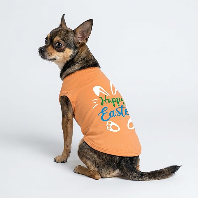Fitwarm Happy Easter Bunny Dog Shirt, Easter Dog Clothes for Small Dogs Boy Girl, Cute Pet Outfit, Green, Blue, White, Orange, Medium