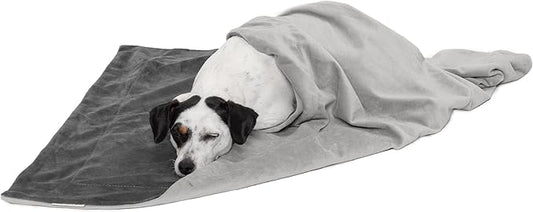 Furhaven Waterproof Throw Blanket for Dogs & Indoor Cats, Washable - Two-Tone Luxe Velvet Dog Blanket - Granite Gray, Medium