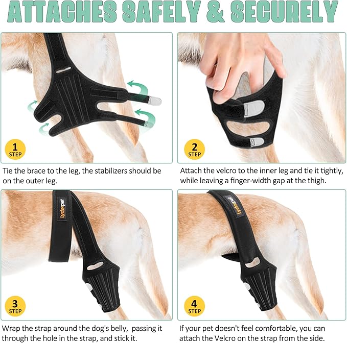 Dog Knee Brace for Torn ACL Hind Leg, Rear Leg Braces for Dogs Luxating Patella, Metal Spring Strong Support and Flexible Joint Care, Easy to Put On and Off Dog Braces for Back Leg (XXL)