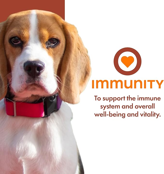 Fromm Family Nutritionals Immunity Functional Dog Treats - Premium Dog Treats for Immune Support - Contains Cranberry, Blueberry, Turmeric, Cinnamon, Vitamin C & Vitamin E - Pack of (3) 6 oz Bags