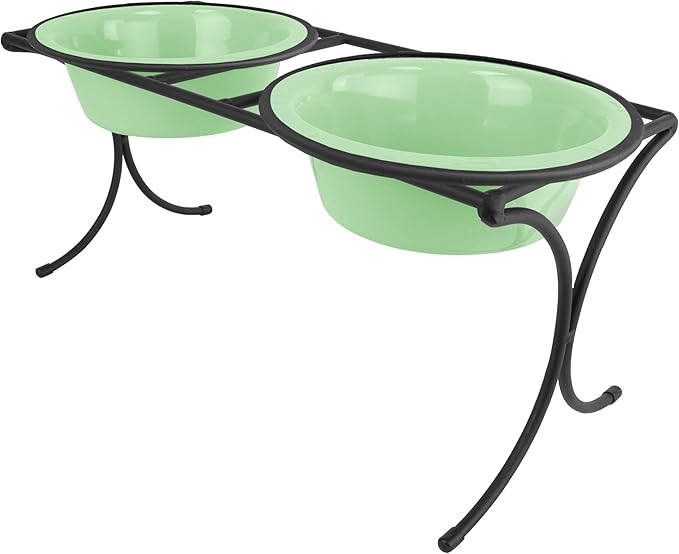 Platinum Pets Bistro Double Diner Feeder with Stainless Steel Dog Bowls, Large, Mint Green