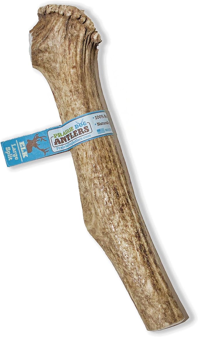 Prairie Dog | Elk Antler Chew | Naturally Shed - Hand Harvested in North America | X-Large | Split