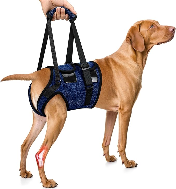 SlowTon Dog Lift Harness - Adjustable Dog Sling for Medium Large Dogs, Hind Leg Support to Help Rehabilitate, Soft Padded Dog Support Harness for Elderly, Injured, Arthritic, Disabled Dogs(BL,XL)