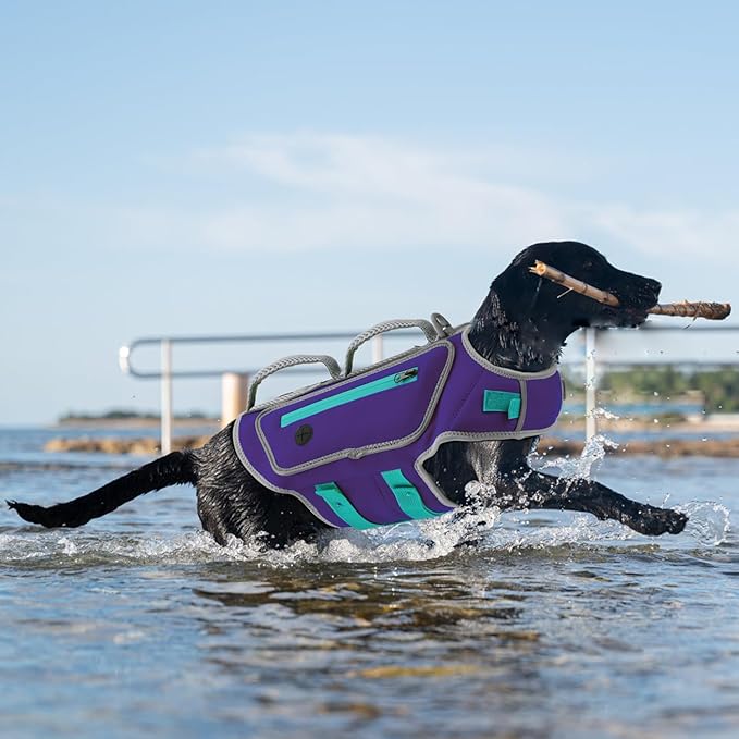 Dog Life Vests for Swimming, High Visibility Dog Life Jacket Lightweight Adjustable Reflective Dogs Swim Vest for Boating, High Floating Pet Life Preserver with Rescue Handle (Purple, XL)
