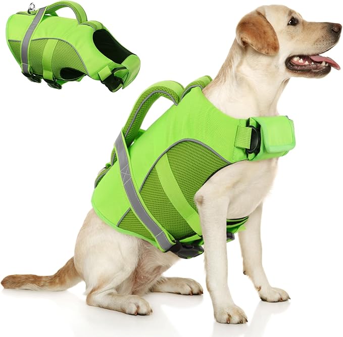 Queenmore Dog Life Jacket, Adjustable Ripstop Dog Life Vest for Swimming Boating, Pet Lifesaver with Superior Buoyancy and Rescue Handle, Doggy Swimming Vest for X-Small Dogs（Green,XS）