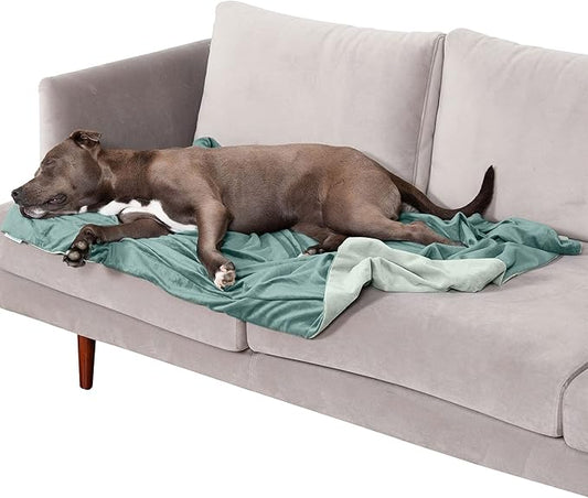 Furhaven Waterproof Throw Blanket for Dogs & Indoor Cats, Washable - Two-Tone Luxe Velvet Dog Blanket - Celadon Green, Large