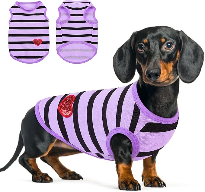 Queenmore Small Dog Shirt,Soft Breathable Dog Shirt for Dogs Cats Boy Girl,Pet Clothes for All Season,Breathable Lightweight Pet Tshirt for Frenchie, Dachshund, Yorkie