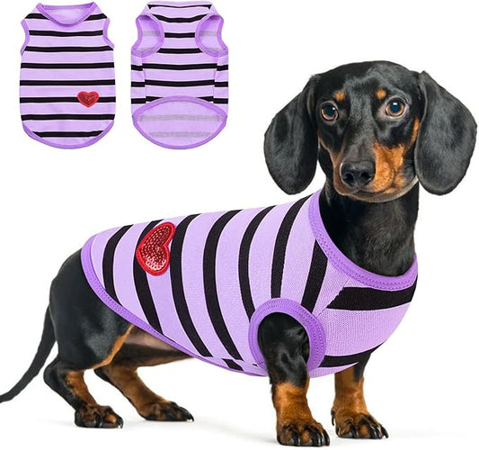 Queenmore Small Dog Shirt,Soft Breathable Dog Shirt for Dogs Cats Boy Girl,Pet Clothes for All Season,Breathable Lightweight Pet Tshirt for Frenchie, Dachshund, Yorkie