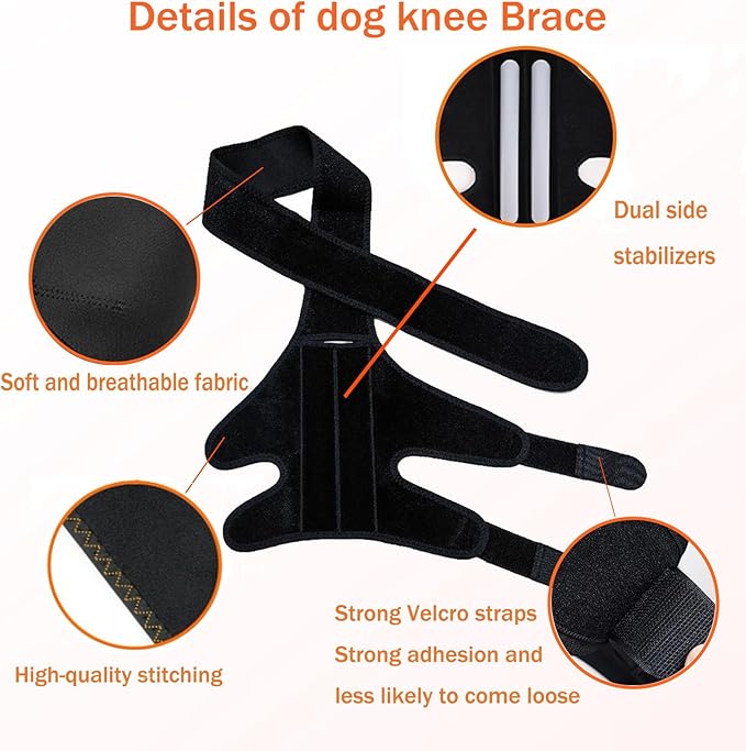 Dog Knee Support for Cruciate Injury – Breathable Neoprene, Flexible Stabilizer with Adjustable Straps, 4-Leg Universal Fit (Front/Hind, Left/Right), Ideal for Post-Op Healing (L)