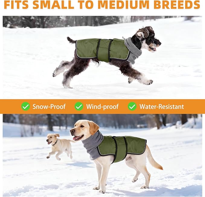 KOOLTAIL Dog Winter Coat for Small Medium Dogs, Waterproof&Windproof Puppy Jacket with Fleece Lining and High Collar for Cold Weather,Reflective Warm Pet Snowsuit Vest Clothes with Leash Hole,Green XS