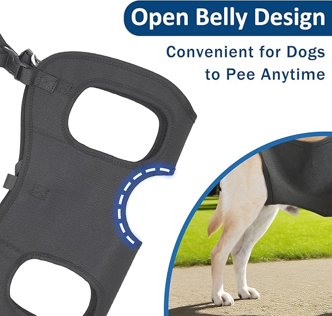 Dog Lift Harness, Full-Body Lifting Dog Harness Vest for Large Dogs, Ideal Mobility Aid for Senior, Injured, Disabled Dogs Needing Front and Rear Leg Support and Lifting Help (M)
