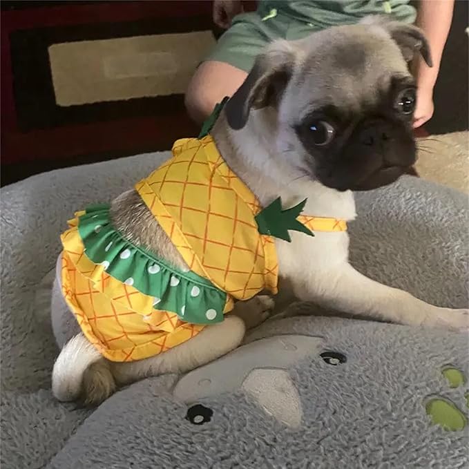 Funny Dog Swimwear Bikini Summer Dog Clothes Beach Swimsuit Puppy Bathing Suit Puppy Vest Cooling Pet Shirt for Small Dogs, Cat Apparel (Small, Yellow Pineapple)