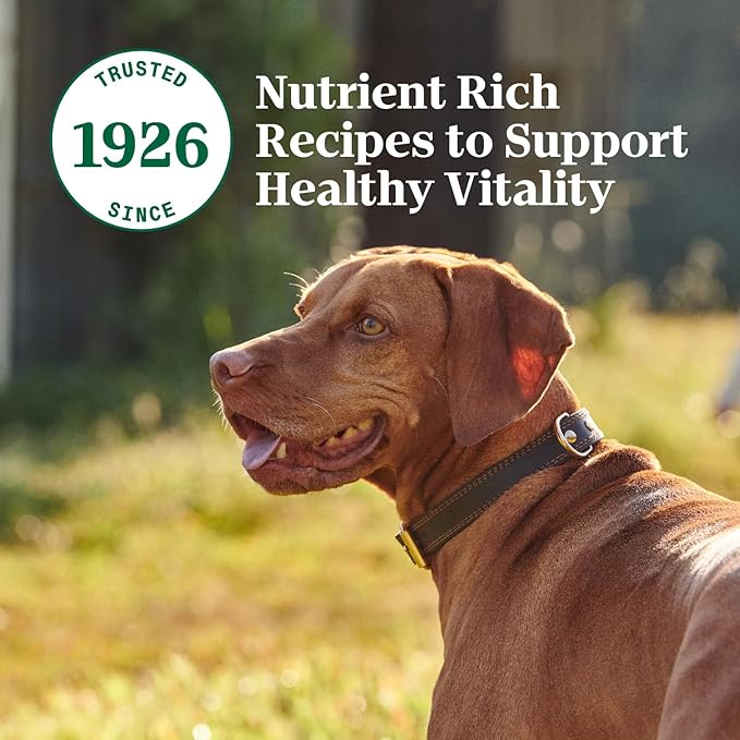 Nutro Natural Choice Premium Loaf Canned Dog Food, Adult Wet Dog Food Beef Recipe 12.5 oz. cans (12 Count)