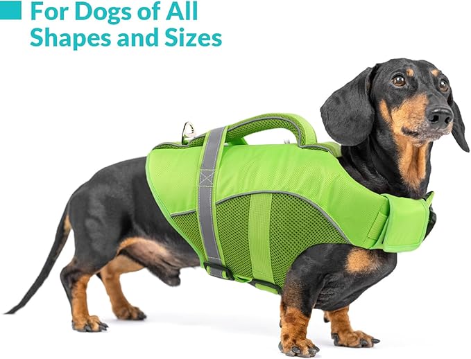 Queenmore Dog Life Jacket, Adjustable Ripstop Dog Life Vest for Swimming Boating, Doggy Lifesaver with Superior Buoyancy and Rescue Handle, Pet Swimming Vest for Large Dogs（Green,L）