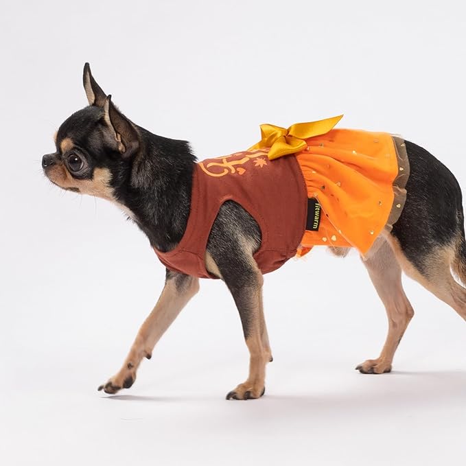 Fitwarm Thanksgiving Fall in Love Dog Dress, Sparkly Dog Clothes for Small Dogs Girl, Holiday Pet Tutu Dress, Cat Outfit, Brown, Orange, Small