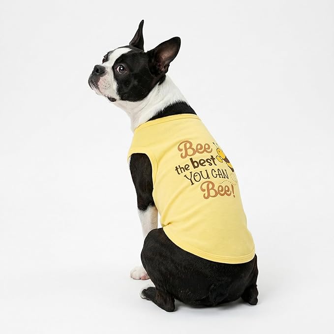 Fitwarm Bee The Best You Can Dog Shirt, Summer Clothes for Small Dogs Boy Girl, Funny Pet Outfit, Yellow, Brown, Blue, Medium