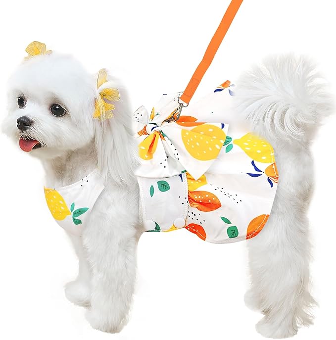 Cute Dog Dress Small Dog Clothes for Girls Female Puppy Outfits Yellow Lemon Pet Summer Clothes Bowknot Doggy Cat Princess Dress Harness for Holiday Birthday Party Costume Clothing(Yellow,M)