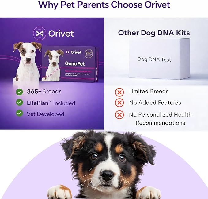ORIVET Dog DNA Test Kit – Comprehensive Dog DNA Test Kit for Over 330+ Breed Identification | At Home Dog DNA Kit with Canine Genetic Testing & Life Plan Genopet