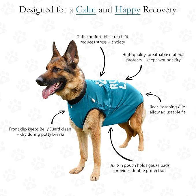 BellyGuard Dog Surgery Recovery Suit, Dog Onesie for Post-Op Care, Recovery Apparel for Female and Male, Surgical Body Cover for Canine Healing Support
