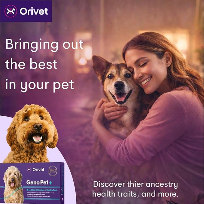 ORIVET Dog DNA Test Kit – Comprehensive Dog DNA Test Kit for 365+ Breed Identification & 330+ Health Markers | At Home Dog DNA Kit with Canine Genetic Testing & Life Plan Genopet Plus