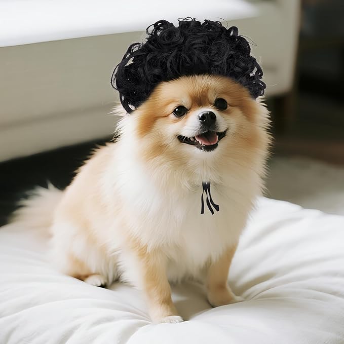 1 Pcs Funny Pets Wigs for Dog, Funny Black Curly Dog Wig Adjustable Pet Wigs for Halloween Pet Costume Accessories for Halloween, Christmas, Parties, Festivals Cosplay