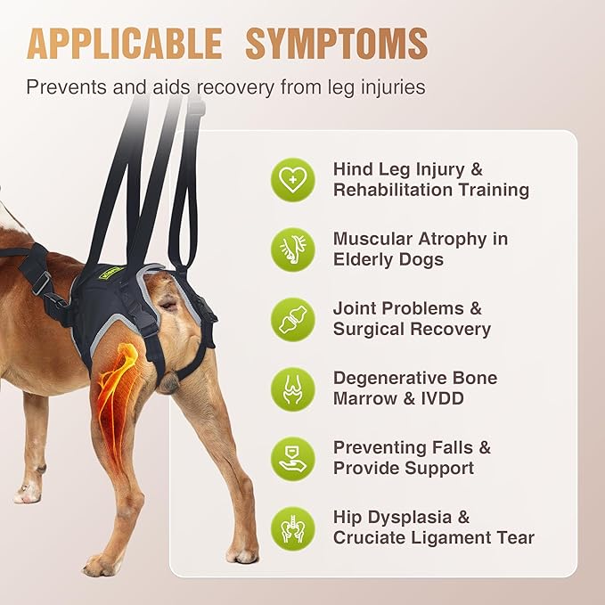 Dog Lift Harness for Small Dogs, Adjustable Hind Leg Sling for Walking Support, Helps with Hip Dysplasia, Arthritis & Post-Surgery Recovery, Back Leg Support Harness, Size S