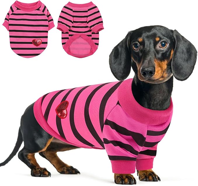 Queenmore Small Dog Shirt,Soft Breathable Dog Shirt for Dogs Cats Boy Girl,Pet Clothes for All Season,Breathable Lightweight Pet Tshirt for Frenchie, Dachshund, Yorkie