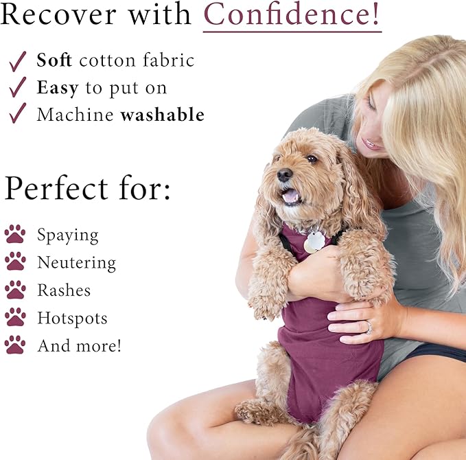 BellyGuard Dog Surgery Recovery Suit, Dog Onesie for Post-Op Care, Recovery Apparel for Female and Male, Surgical Body Cover for Canine Healing Support