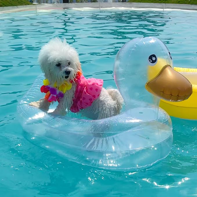 Dog Pool Float, Funny 6-in-1 Inflatable Dog Floats for Pool, Pet Floatie Raft for Small Dogs, Puppy and Doggies, Clear Duck