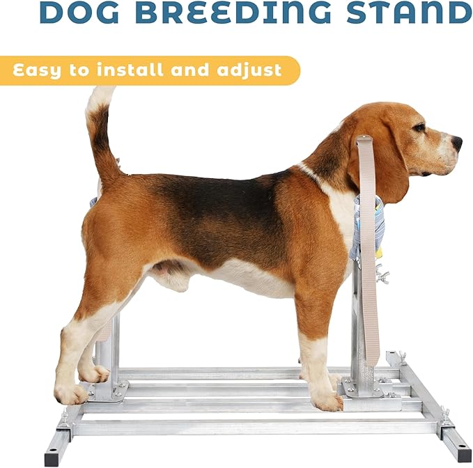 Dog Breeding Stand Adjustable（Multi-Specification） Stainless Steel Dog Breeding Stand，Shoulder height 15.7in-23.6in，Dog Breeding Stand for Small and Medium Sized Dog Dog Breeding Rack