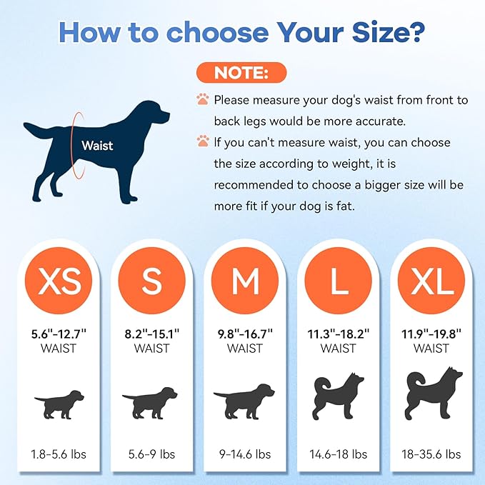 Disposable Dog Diapers Absorbent Soft Puppy Doggie Diapers for Female Dogs with Stretchy Waist Puppy Diaper in Heat Period Excitable Urination (XS 10PCS)
