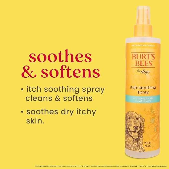 Burt's Bees for Pets Anti Itch Dog Spray with Honeysuckle and Honey, Waterless Grooming Mist for Dry Flaky Skin, Dog Itch Relief Between Baths, Natural Origin Coat Care for Dogs, 10 Fl Oz