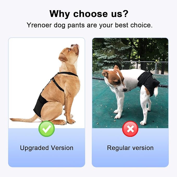 Female Dog Heat Pants with Harness Design - Anti-Slip, Anti-Mating, Reusable & Washable Underwear for All-Day Protection (Black, XS)