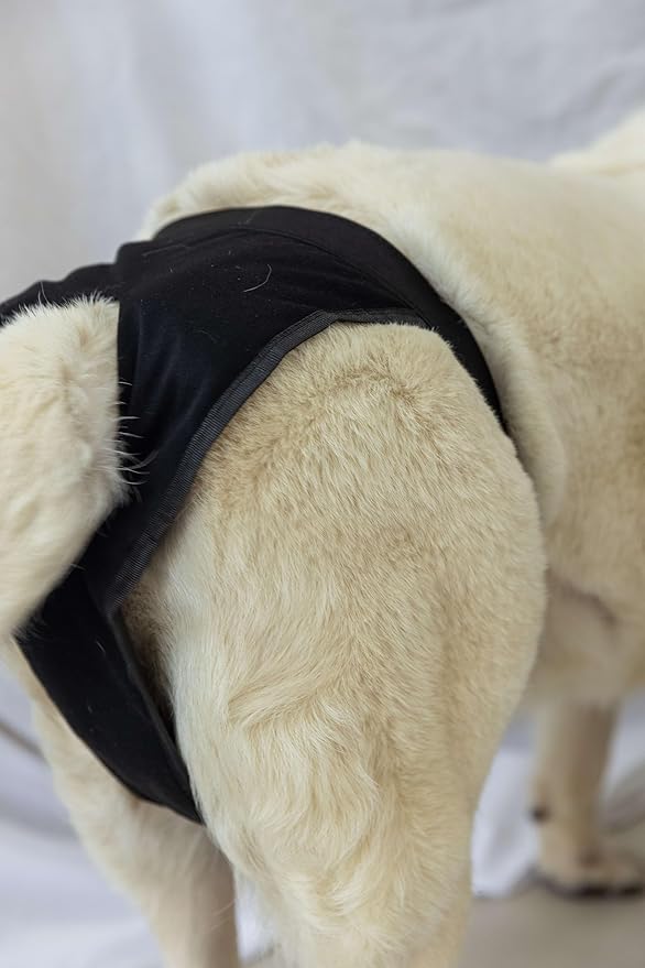 Dog Pants with 3 Replace Diaper, Female Dog Heat Cycle Reusable Dog Panties for Dogs in Heat Black S