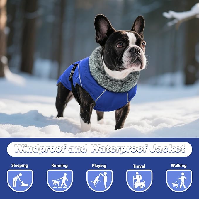 DENTRUN Winter Warm Dog Coat Reflective Jacket with Turtleneck for Cold Weather, Adjustable Buckle Windproof Water Repellent, Thick Snowsuit Fleece Vest for Small, Medium, Large Dogs, Blue, S