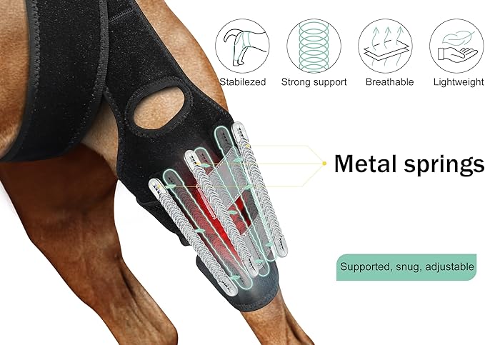 Dog Knee Brace for Torn ACL Hind Leg, Rear Leg Cruciate Ligament Braces for Dogs,Strong Support to Reduce Joint Pain and Muscle Sore, with Side Stabilizers for Back Leg Large