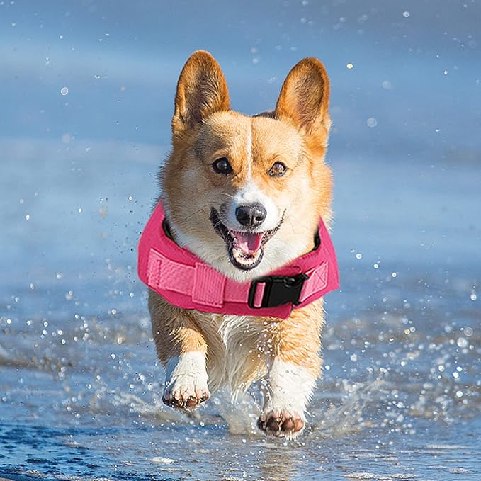 Fragralley Dog Life Jacket Shark, Dog Life Vest Adjustable Ripstop, Dog Swimming Safety Vest with Superior Buoyancy & Rescue Handle for Small Medium Large Dogs, Swim, Pool, Beach, Boating