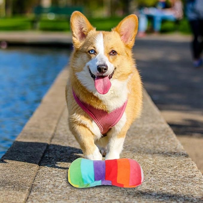 POPETPOP Durable Colorful Bone Dog Toy with Squeaker for Chewing and Teeth Grinding Plush Interactive Puppy and Dog Toy for Small Medium and Large Breeds