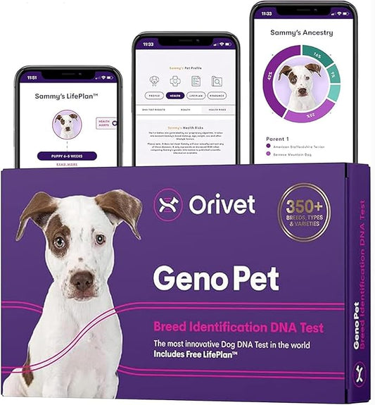 ORIVET Dog DNA Test Kit – Comprehensive Dog DNA Test Kit for Over 330+ Breed Identification | At Home Dog DNA Kit with Canine Genetic Testing & Life Plan Genopet