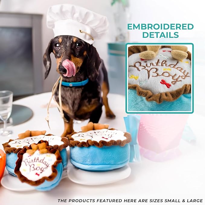 Haute Diggity Dog Birthday Boy Cake, Plush Designer Dog Toys with Interactive Squeaker, Stimulating Pet Enrichment, Machine-Washable & Safe Materials for All Breeds, Size Small