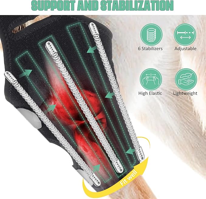 Dog Knee Brace for Torn ACL Hind Leg, Rear Leg Cruciate Ligament Braces for Dogs, Strong Support to Reduce Joint Pain and Muscle Sore, with Side Stabilizers for Back Leg XSmall