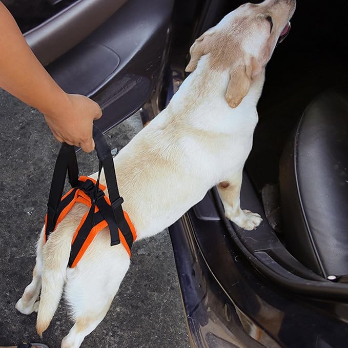 Rear Leg Care Pet Tractions Auxiliary Belt Rehabilitation Exercise Balances Harness for Leg Disabled Elderly Dog Lift for Weak Legs Small Lift for Weak Legs Full Body Lifting & Flexibility Aid