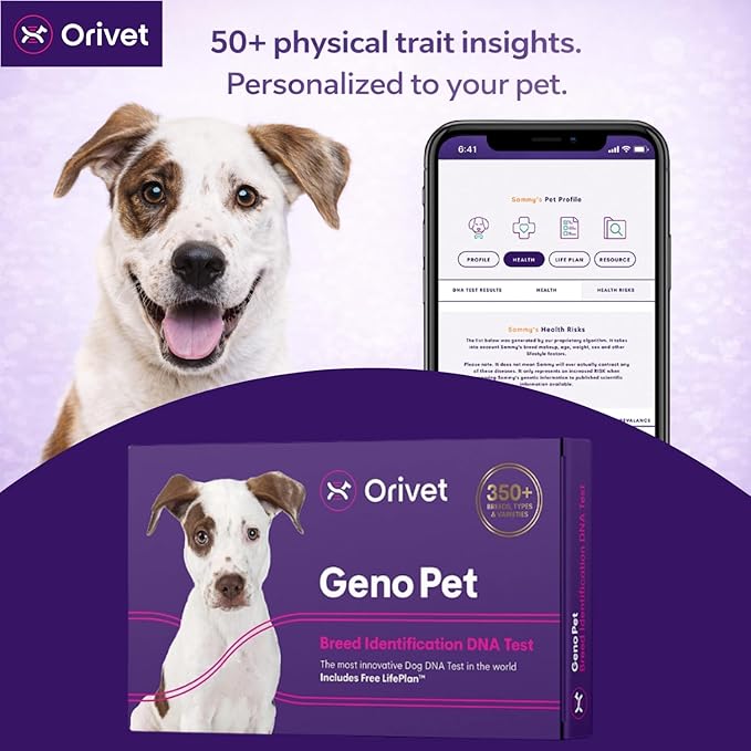 ORIVET Dog DNA Test Kit – Comprehensive Dog DNA Test Kit for Over 330+ Breed Identification | At Home Dog DNA Kit with Canine Genetic Testing & Life Plan Genopet